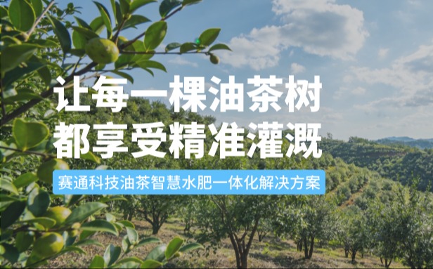 赛通科技油茶OKPay钱包(中国)水肥一体化解决方案：让每一棵油茶树都享受精准灌溉